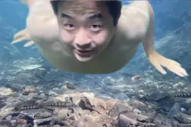 原始森林里的水底世界，水下摄影机全程记录，太神奇了网友看呆了视频封面