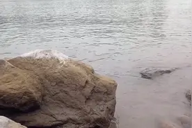 我在重庆见到“海”——珊瑚坝随拍视频封面