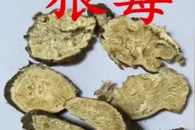 狼毒具有驱湿祛痰，杀虫，治疗肠胃疾病的作用，主要用来治疗水肿
