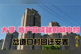 大学房地产成就岔道口村！回迁每户均3套房，大居安村安置社区旁视频封面