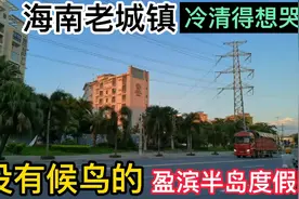 空空荡荡，冷冷清清！没有了北方候鸟的海南老城镇上演空城计。视频封面