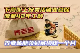福建下岗职工自己按灵活就业参保！42年的工龄退休后养老金有多少视频封面