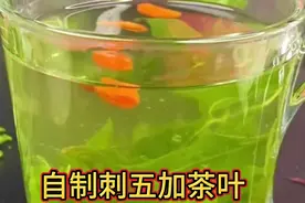 自制刺五加茶叶！配上枸杞子！补肾安神！喝一杯吧！视频封面