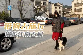 杭州古村落游记，小夫妻带2岁小边牧出去玩儿竟遇到这么多趣事视频封面