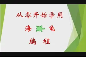 从零开始学用海龟编程视频封面