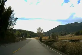 世界奇茶，吃一口茶叶就可以把铜咬碎！难怪黄百韬会这么厉害？视频封面