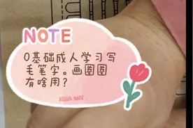 0基础成人学习写毛笔字。画圈圈有啥用？视频封面