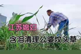 农村媳妇田地干活，转身看到公婆坟头长满杂草，心里瞬间五味杂陈视频封面