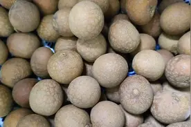 桂圆就这样泡水喝，脸上水水润润干干净净，肚子没有了，永远18岁视频封面