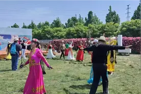 玫瑰园里的快乐舞者视频封面