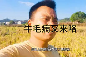 一头牛突然发现脚瘸，打一针就见效，难道真是血虫病？视频封面