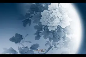 奶奶的家熟悉又陌生视频封面