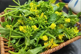 小油菜别炒着吃了，教你好吃做法，鲜嫩美味解馋，吃一次忘不了视频封面