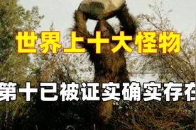 世界上十大怪物，第十已已被证实确实存在视频封面