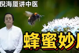 倪海厦讲中医蜂蜜妙用视频封面