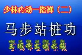 少林内劲一指禅教学-王瑞亭主讲示范视频封面