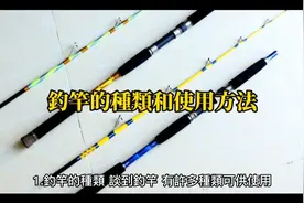 钓竿的种类与使用方法视频封面