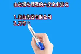 山东烟台最强的六家企业排名视频封面