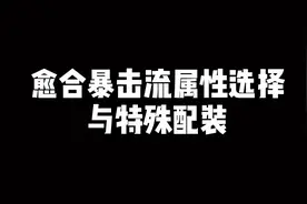 魔兽世界怀旧服，愈合暴击流奶德属性选择与特殊配装视频封面