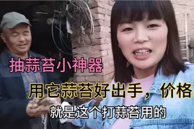 老爸自制抽蒜薹神器，邻居上门让做，关键用它蒜苔价格高，好出手视频封面