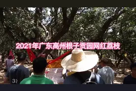 实拍广东省高州市根子贡园荔枝，拍出168万元天价视频封面