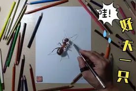 画一只逼真的大蚂蚁，想学的朋友可以收藏试试哦视频封面