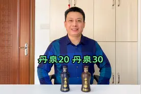 广西洞藏酱香酒，丹泉20对比丹泉30，口感差多少？哪个性价比更高视频封面