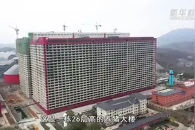 现代化养猪新模式–湖北中新开维楼房养猪项目探访视频封面