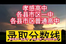 孝感高中及各孝感各县市区一中、普通高中招录条件视频封面
