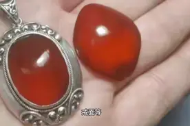 鱼的身上也有“宝石”，美丽且昂贵，仅在一种鱼身上有视频封面