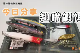 夏季路亚翘嘴不会选饵?分享给你这几种路亚饵，新手也能轻松上鱼视频封面
