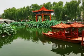 在北京南三环还有这么一处小桥流水赏花观景适合带孩子玩的地方。视频封面
