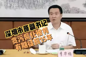 深圳市原副书记李华楠，贪污腐化被判有期徒刑15年视频封面