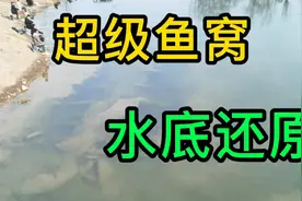 超级鱼窝，水底结构还原视频封面