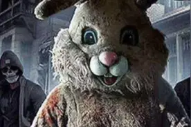 奇闻异事之兔人视频封面