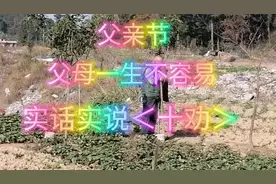 父亲节到来，一首（十劝）唱出了父母养儿女一生不容易唱到心坎里