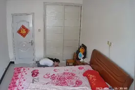 老婆独自在家的这一举动，被家里的监控记录下全过程视频封面