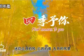 《四季予你》愿每个春夏秋冬都有你陪伴，四季如你，你如四季.