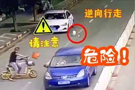 博美乱跑走丢，主人查看监控，这小子在马路上闯红灯还逆向行走视频封面