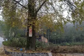 翼王石达开后裔隐居湖南十万大山！农村小伙前去探访！视频封面