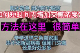 遍地阳的时期 想要艾条熏房间但没有用具的友友看过来 家庭小妙招视频封面