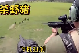 用M24配8倍镜猎杀野猪是一种什么体验？视频封面