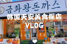 韩国天安新世界＆美食步行街｜美食探店~금화왕돈까스#日常Vlog视频封面