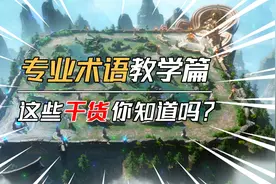 《专业术语教学篇》超详细干货讲解！学了你也可以成为游戏大神！