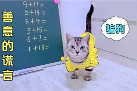 猫咪只用一招，就让狗狗乖乖听话视频封面