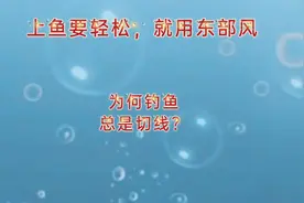 钓鱼，为何钓鱼，会切线？视频封面