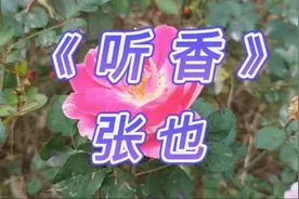张也一曲《听香》，甜美悦耳，婉转悠扬，耳朵也醉了！视频封面