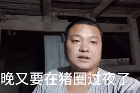 农村小伙有房不住为什么要睡猪圈？带大家一起去看看！视频封面