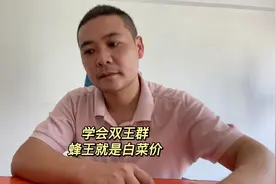 中蜂双王群最大好处就是用不完的王，学会了蜂王就是白菜价视频封面
