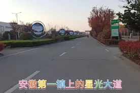 安徽一个镇上有2家上市公司，每一个标牌都是一位亿万富豪。视频封面